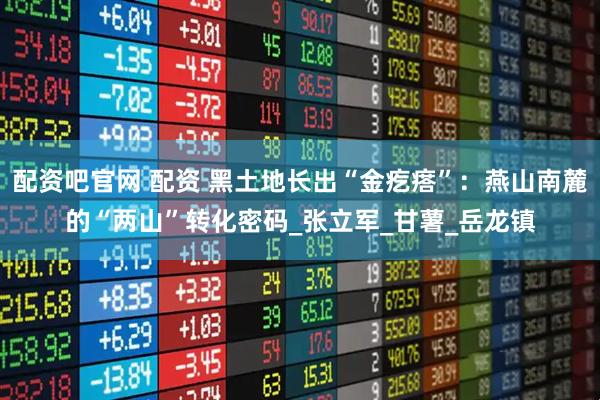 配资吧官网 配资 黑土地长出“金疙瘩”：燕山南麓的“两山”转化密码_张立军_甘薯_岳龙镇