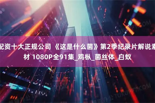 配资十大正规公司 《这是什么菌》第2季纪录片解说素材 1080P全91集_鸡枞_菌丝体_白蚁